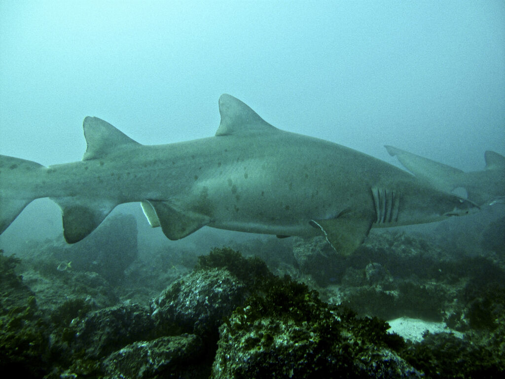 db78e344-f1fa-4e1f-a8c0-9ff21c7044a0