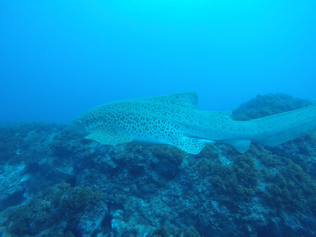 c11e34db-3108-420a-985d-1913a5b9de32