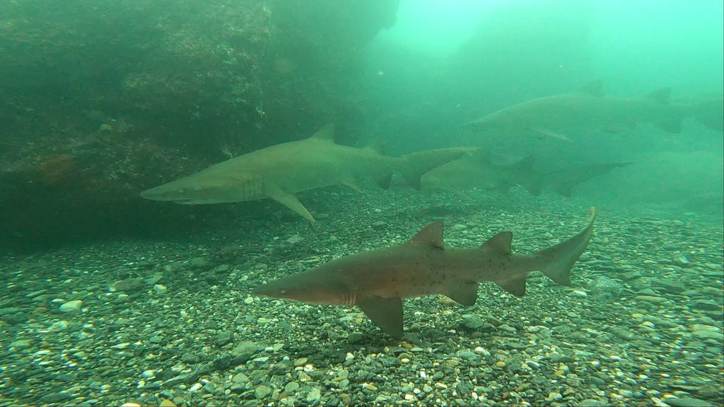 47094b36-b8b0-49a2-bc47-4eb20f0be913