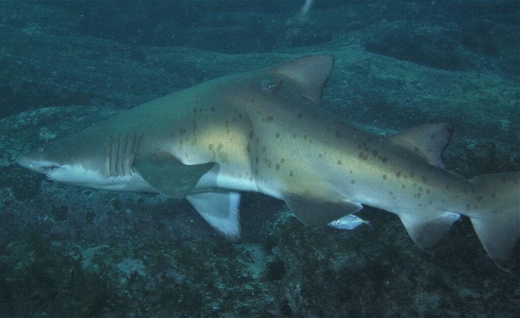 404c0137-ed1c-4fc9-ae84-8ef1ebfcfb3c