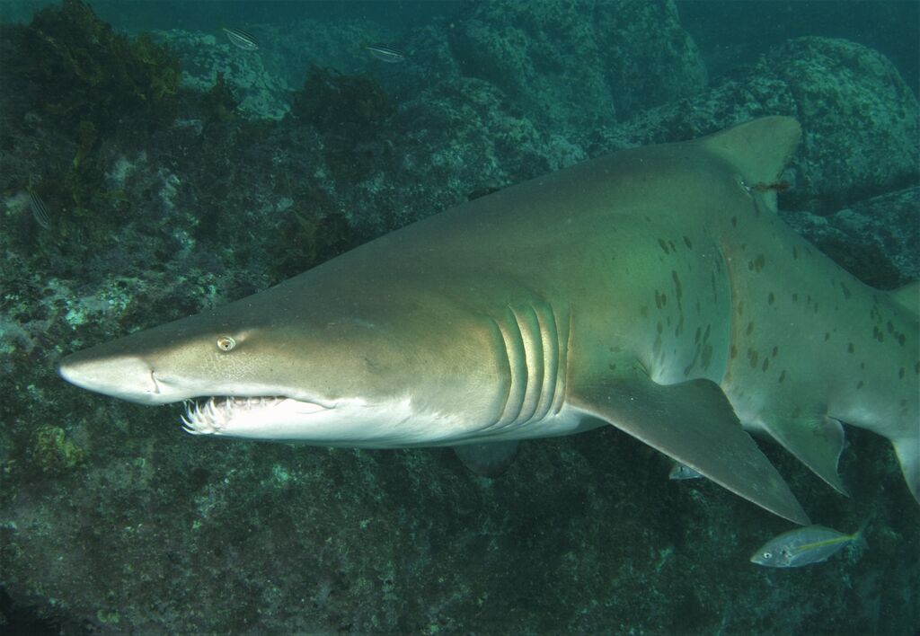 404c0137-ed1c-4fc9-ae84-8ef1ebfcfb3c