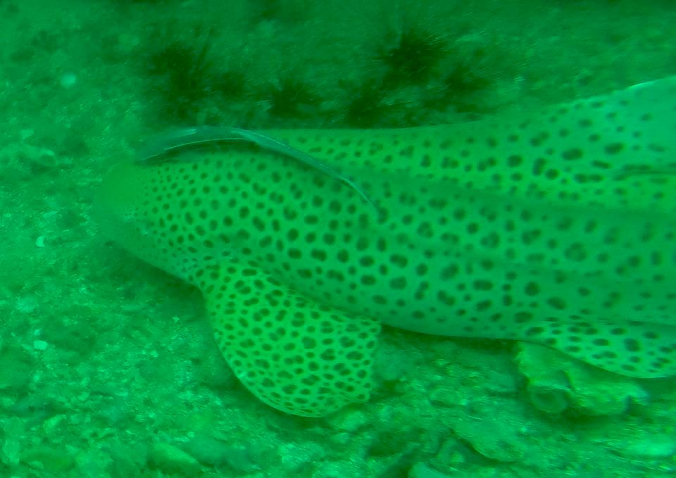 7a83dc74-f01a-4f51-a9c4-91564c86e3e3