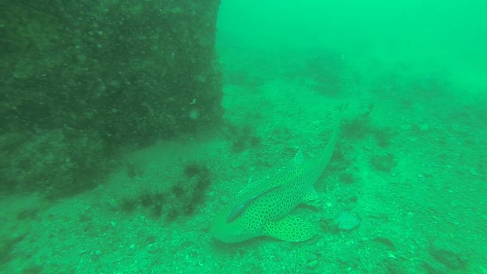 7a83dc74-f01a-4f51-a9c4-91564c86e3e3