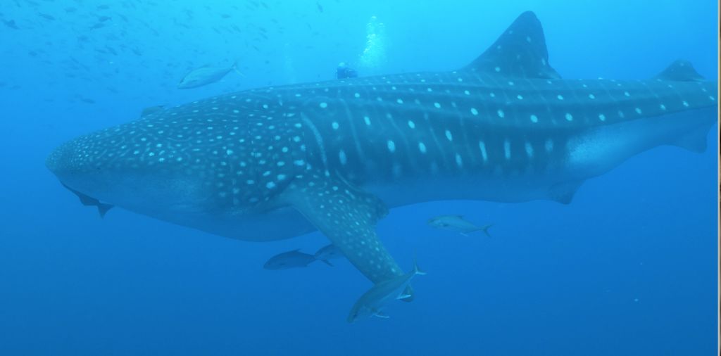 bc326834-27bc-40db-965b-69b1a9a4170b