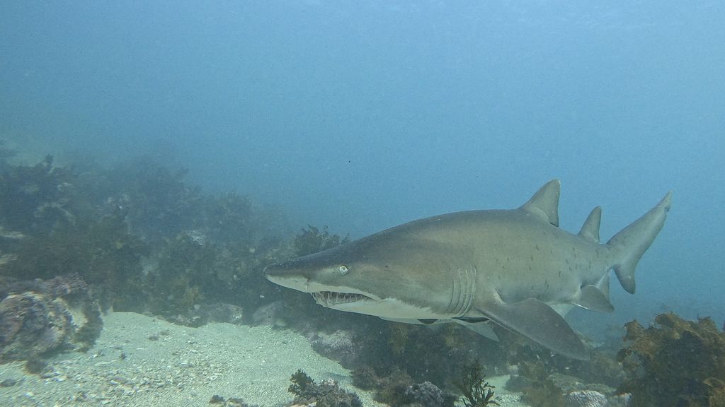 8443fb4b-92df-4af5-8553-412cc01dad7e