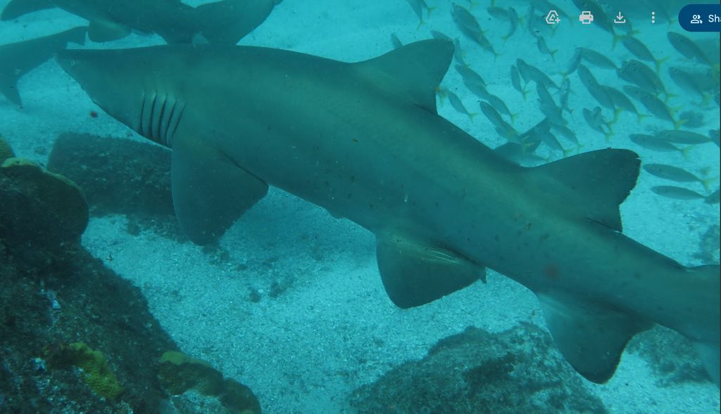 a8b3f6ab-fd66-4587-91e7-180d7d33fbd4