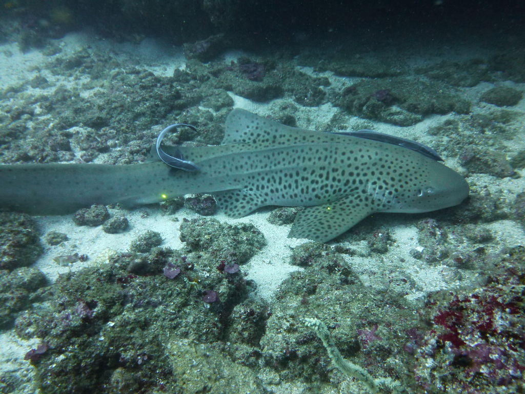 24ff3370-b1a0-4225-8efd-81e943ed4450