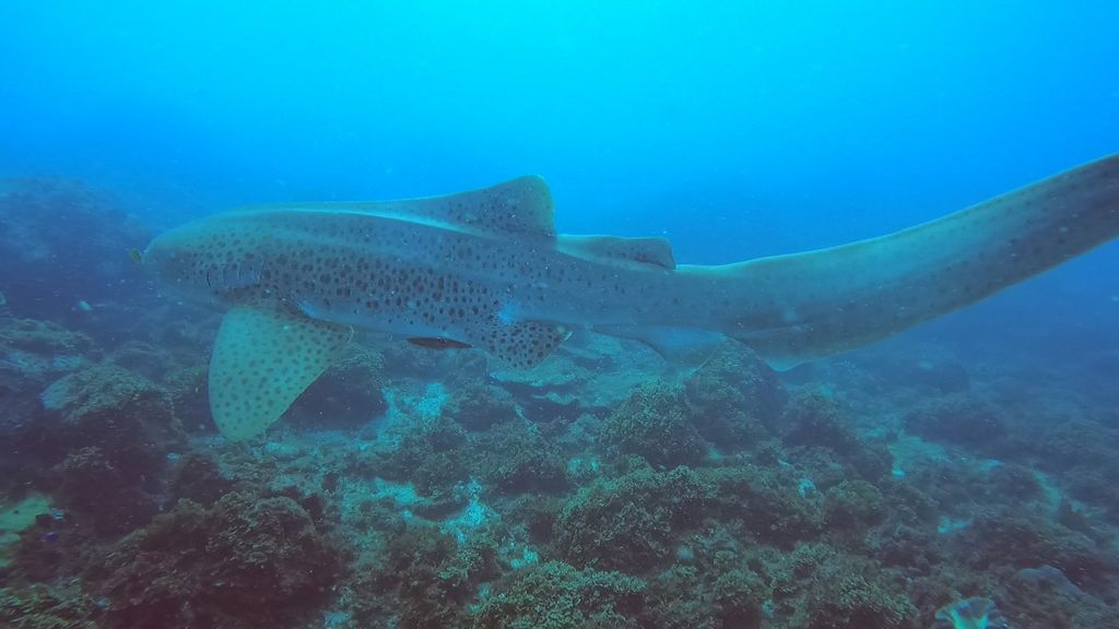 9a061c6f-8b17-4964-95d9-8d68f5868af9