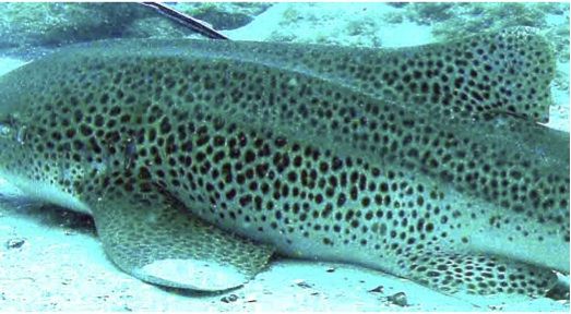 fba3417e-da32-4f9d-be7e-79c944a38e0d