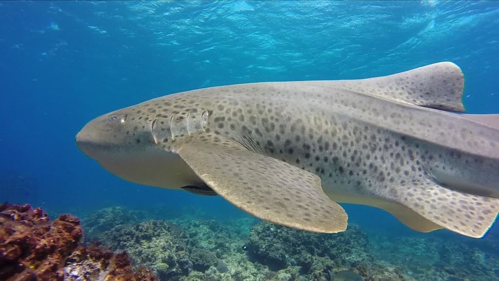 f4ccf2d3-5679-4d8c-8022-5897bfecbd1b