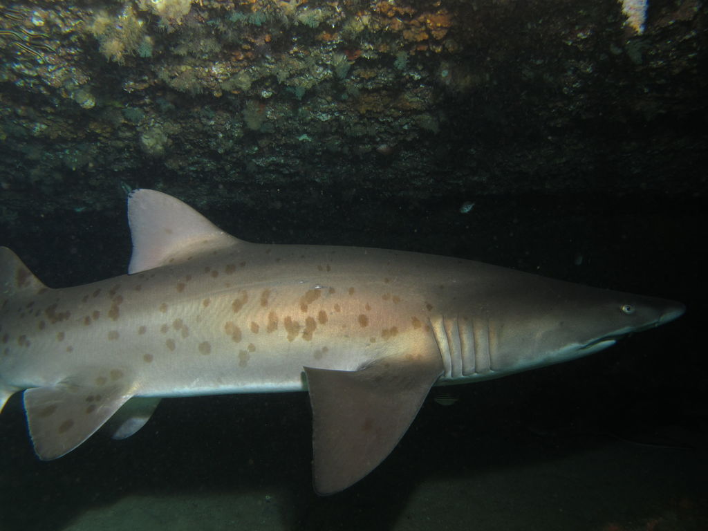 a74cda08-2141-45ef-a0ba-e04780794d7e