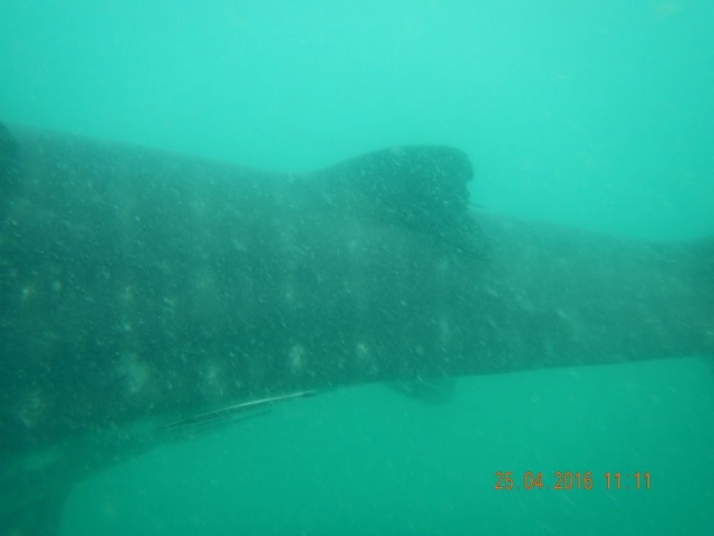 5e354854-1610-4e55-bea0-246ca23e012e