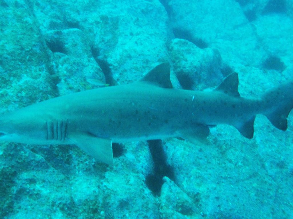 e434f8ba-a842-4113-9a6c-a6917fc618d1