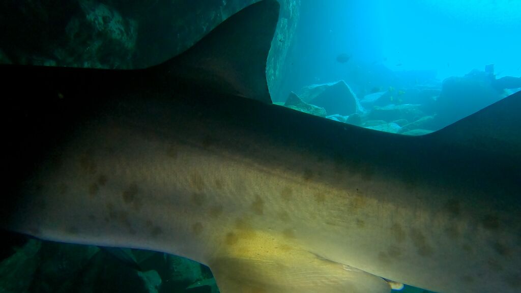 45a9f87b-291f-4d2d-a9c5-2c80aa43c9cb