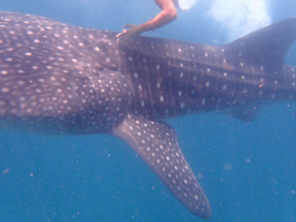 d8174a94-20e3-462c-8174-2ba23a91d0ed