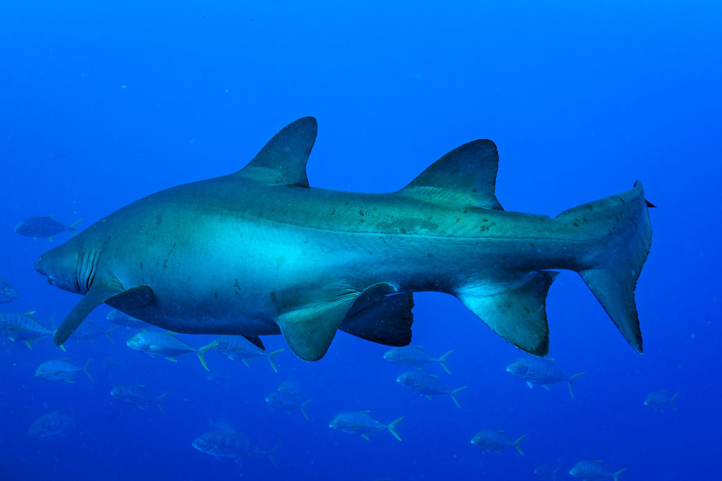 ae790ec9-51d8-4887-9cdb-b15e82bea0c4