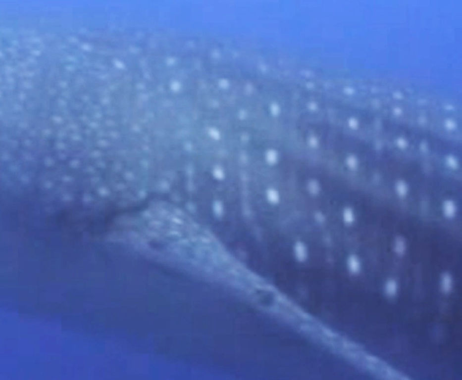 b142be53-88bb-489e-8661-61ac90225abb