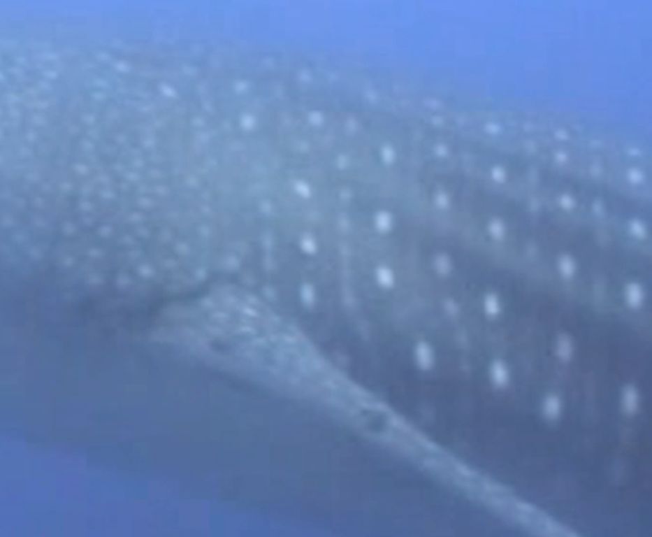 b142be53-88bb-489e-8661-61ac90225abb