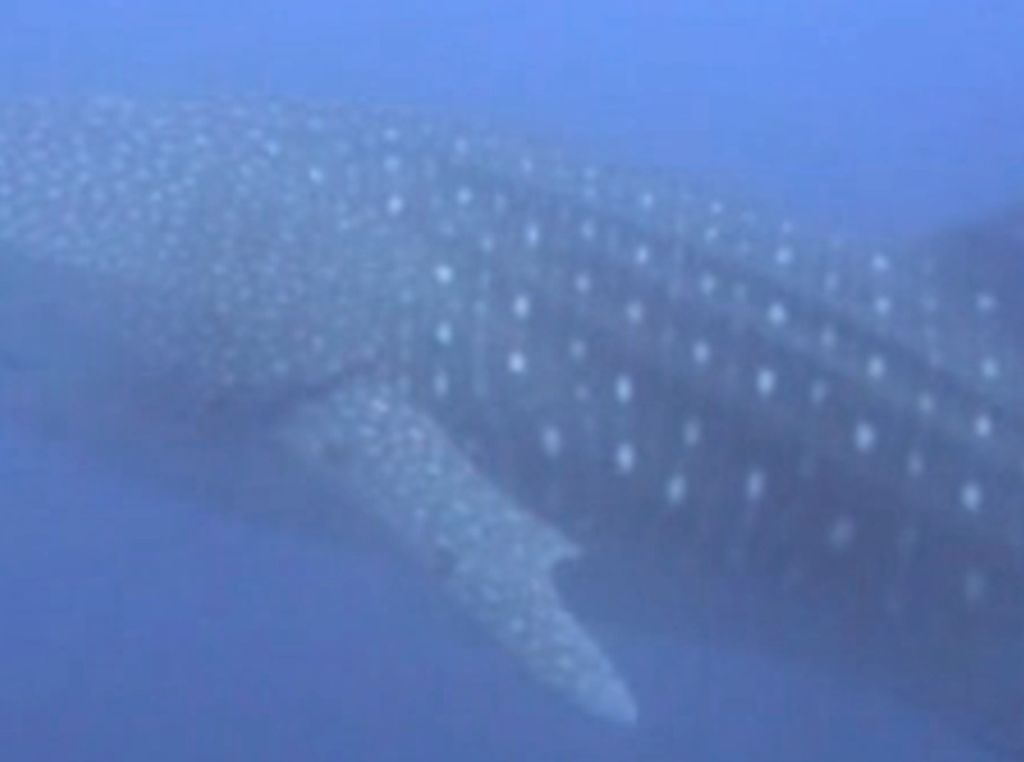 b142be53-88bb-489e-8661-61ac90225abb