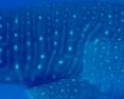 115752cf-1206-4382-8e75-766dd5d580d9