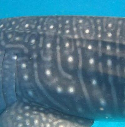 115752cf-1206-4382-8e75-766dd5d580d9