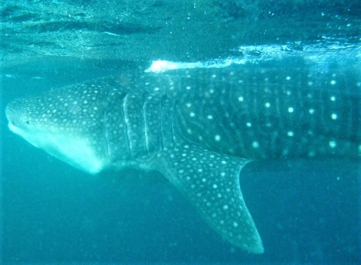 d7f2b805-d797-4907-836e-0962ddb81261