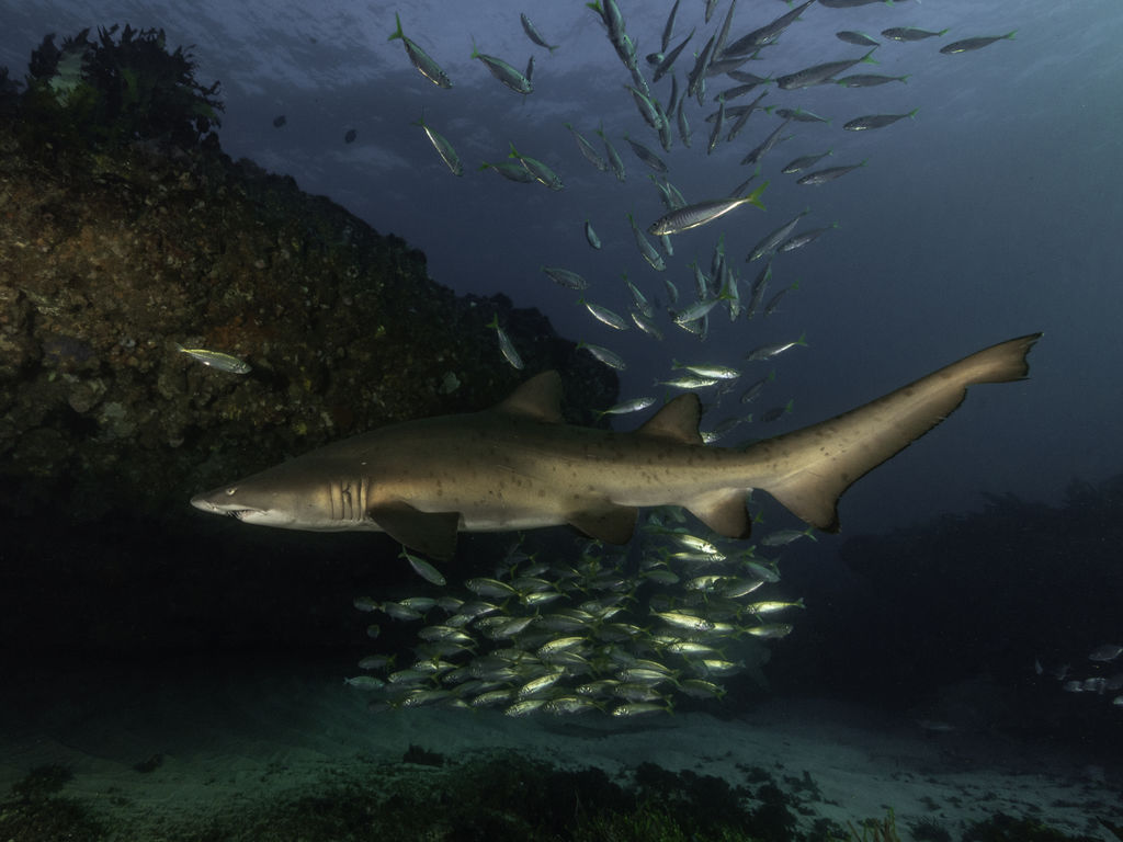 1f59f93b-4f60-46ca-af3f-b14902574ee8