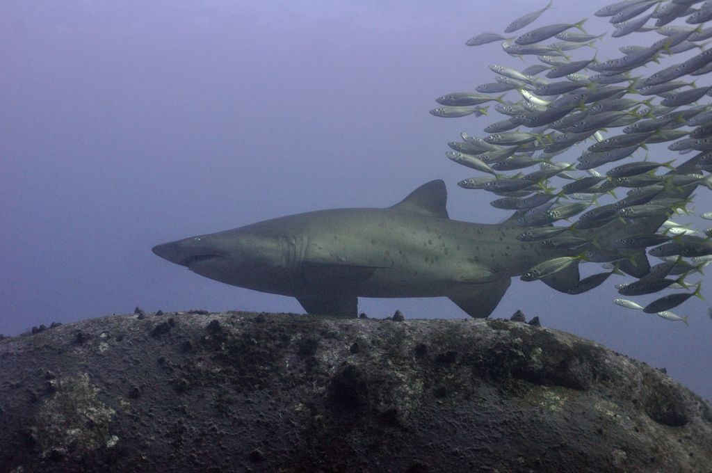 20ada251-c83c-4404-b30d-3b789ffaf995