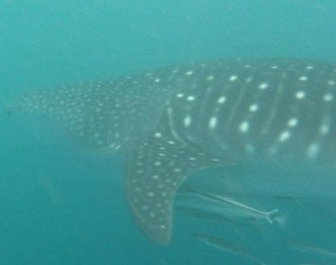 7fcb8057-1941-4bb1-a00b-697fb977260a