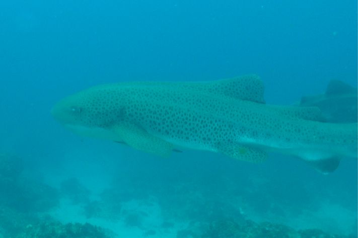 40057ba2-b1a4-4a0e-8320-99a4f87175da