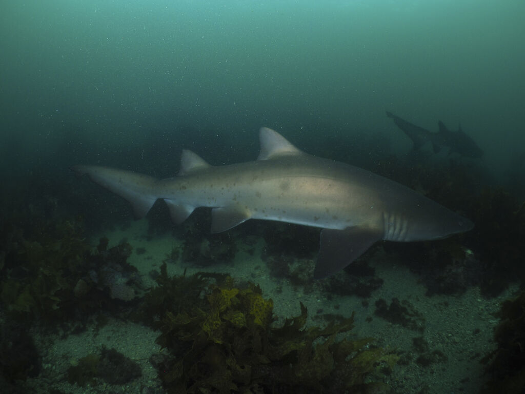 663690a9-b6be-47ff-a49a-cb55f871348b