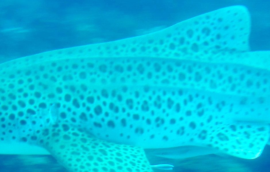 3df719bb-338f-4bfa-817d-5b850e189dda