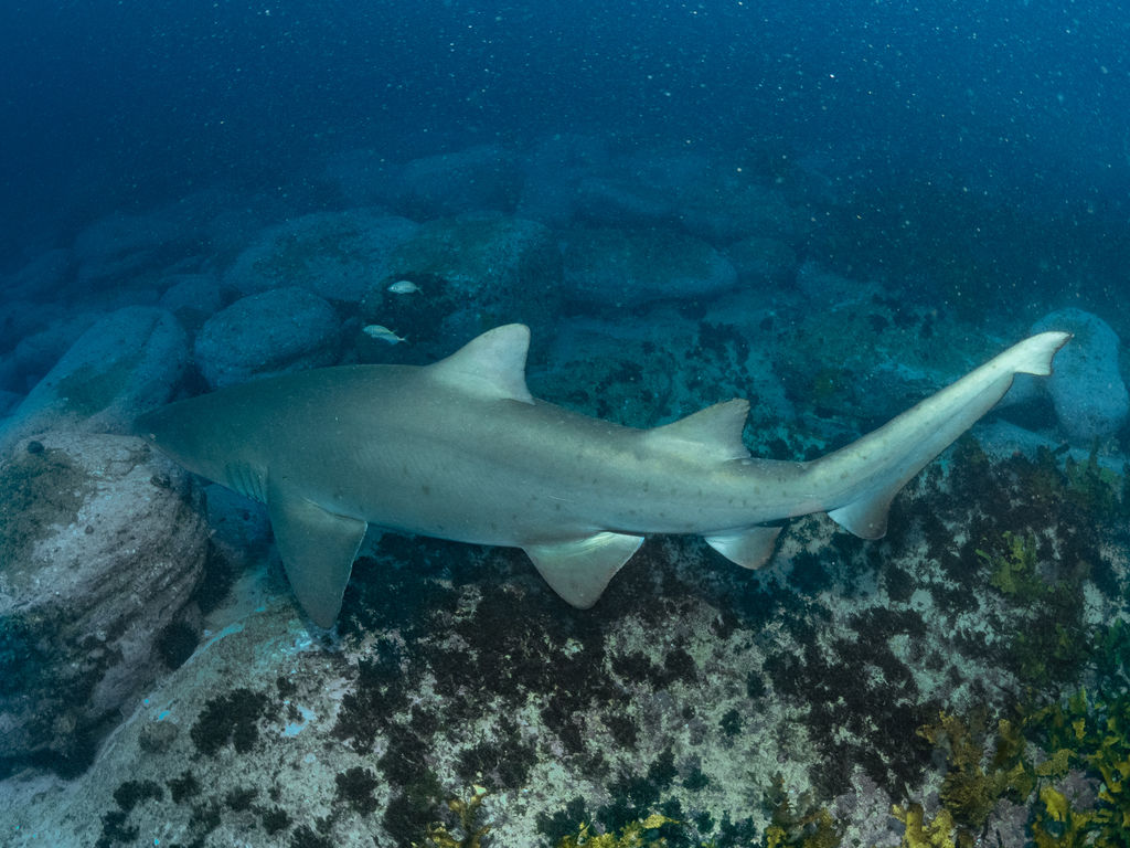 a54754f3-be26-46f1-b1b4-fd85b4a48b3c