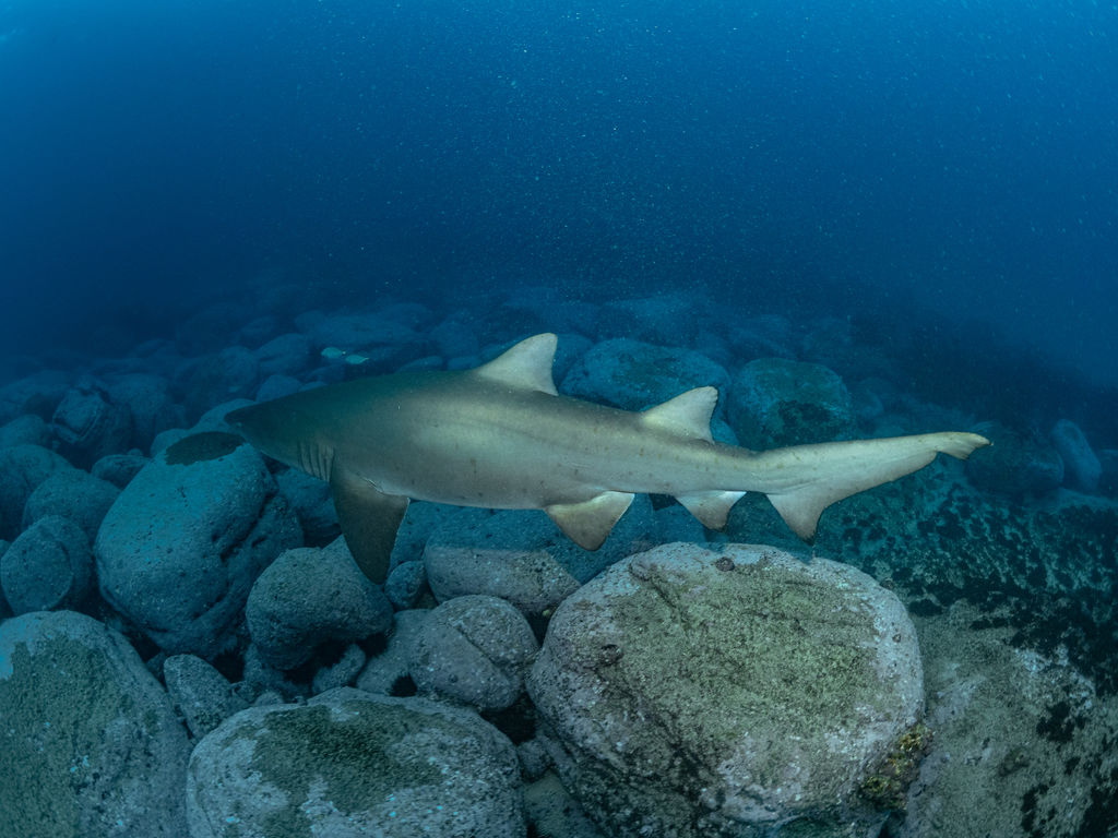 a54754f3-be26-46f1-b1b4-fd85b4a48b3c