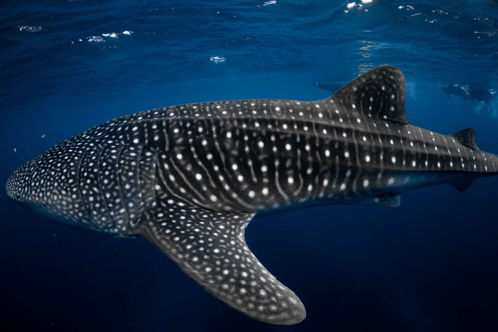 50e5b486-75c9-43e6-9a42-f316d763cfb1