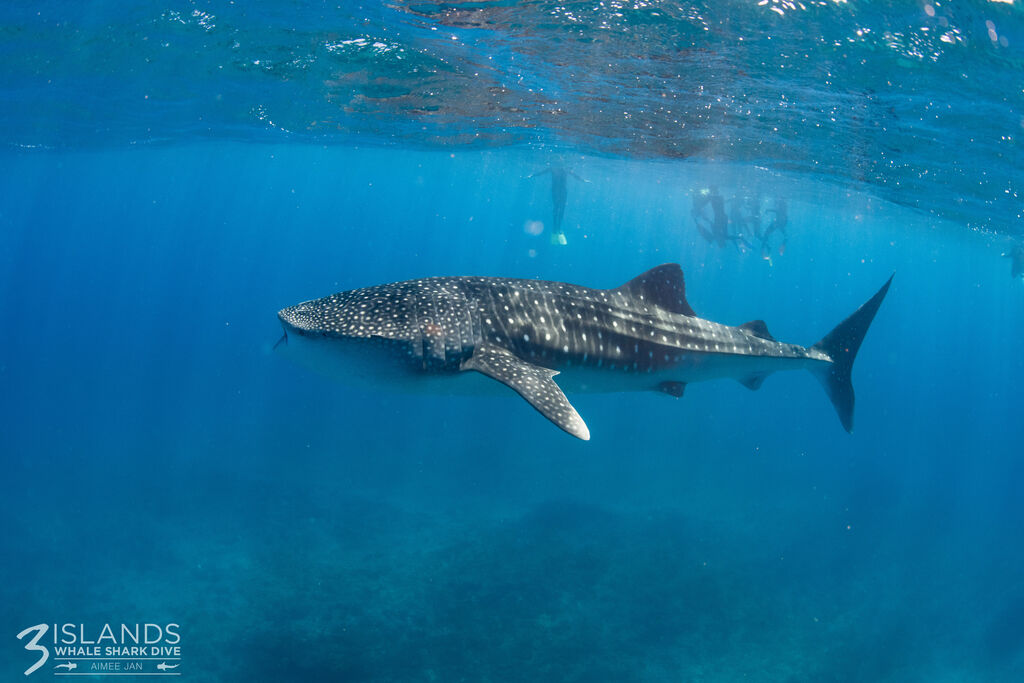 a63abc97-8dd2-451e-a8a6-6706e681cb4b