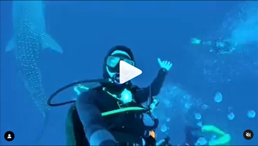 b9a326f9-8aab-41f5-aeaa-258f2d59a596