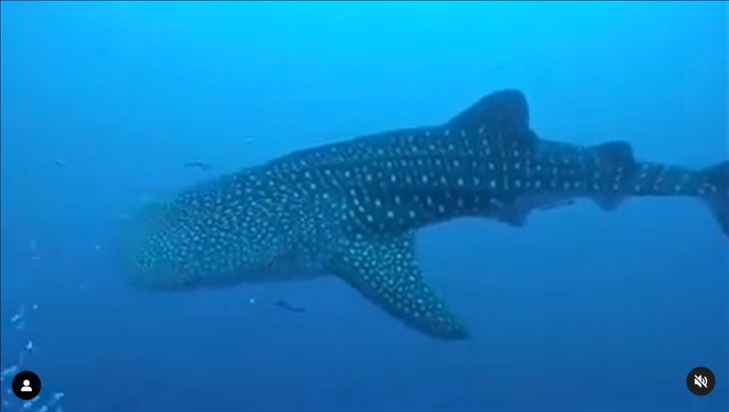 b9a326f9-8aab-41f5-aeaa-258f2d59a596