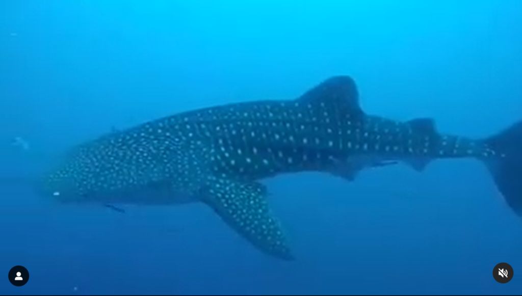 b9a326f9-8aab-41f5-aeaa-258f2d59a596