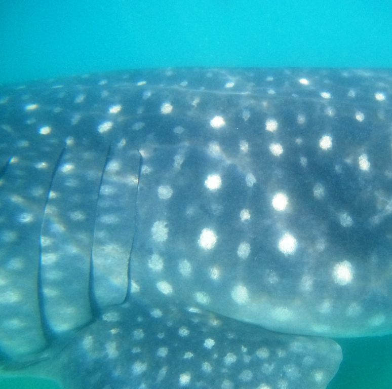 3504e27e-2993-4739-afb3-ee9f11a09edb