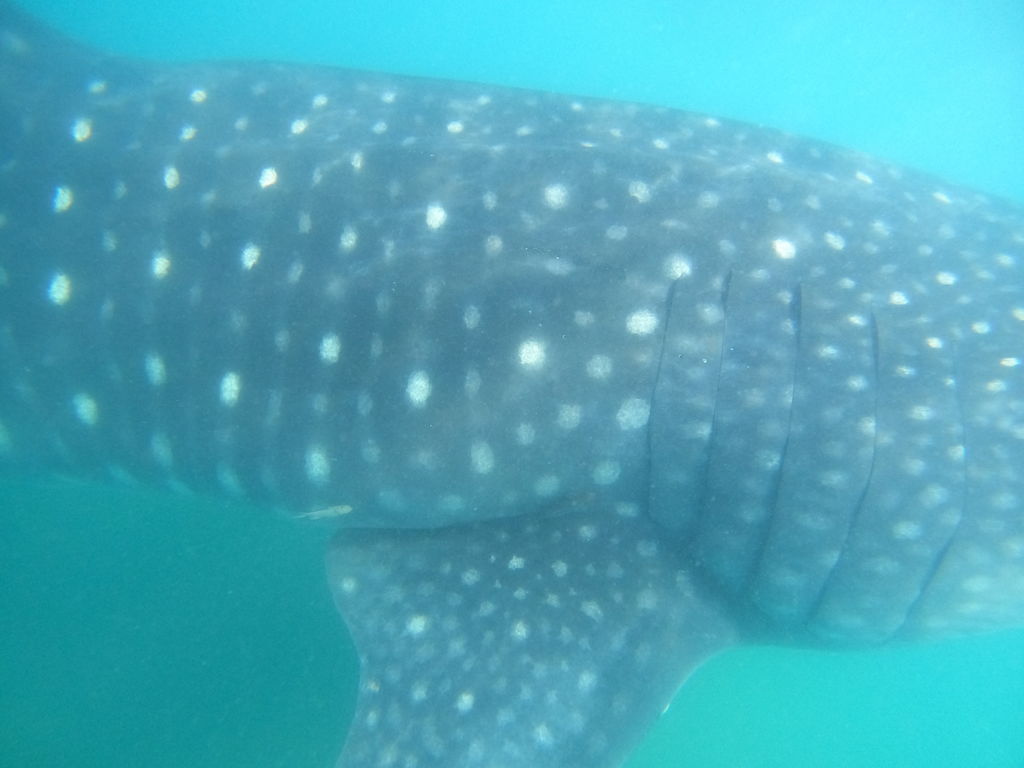 3504e27e-2993-4739-afb3-ee9f11a09edb