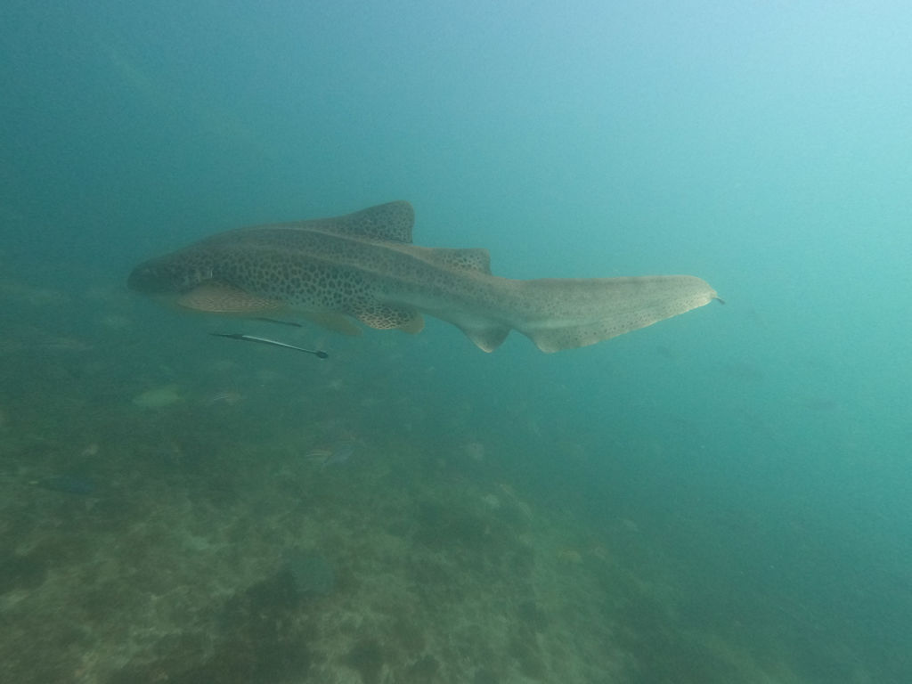 196f84ae-d19b-428a-af2d-013b28048d31