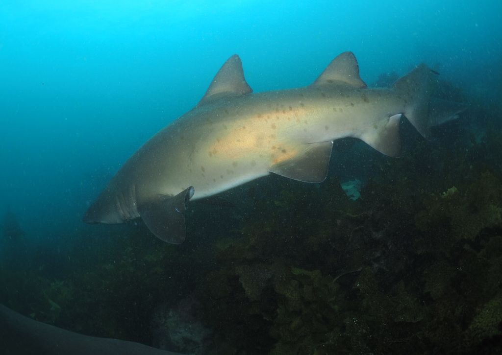 b1299b1c-9b0e-4a8f-9931-b3862854625d