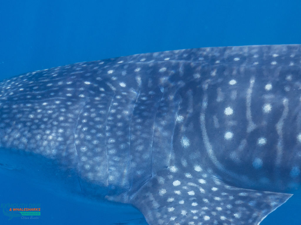 e8f9d015-8c9a-47c9-877c-e5aebd28030b