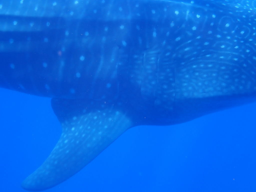 264b23cd-54b4-4c7f-a2e7-ef5c8503ed76