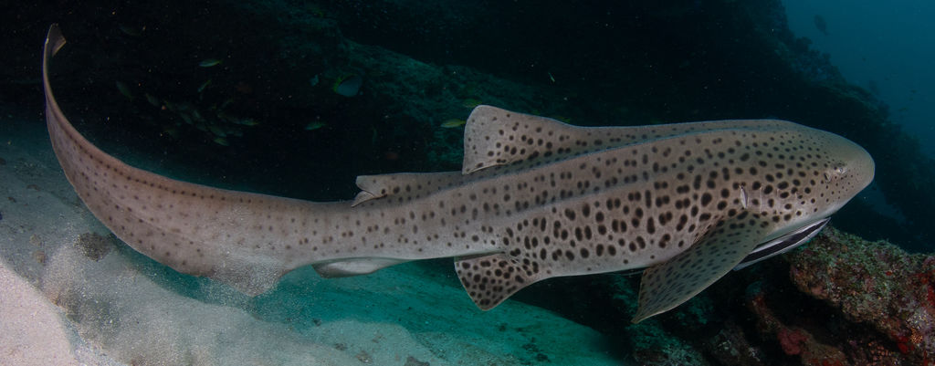 2a7ba8b0-c9c5-4e92-8f01-61a300918be4