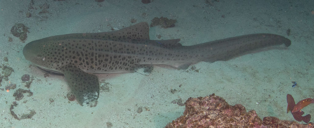 2a7ba8b0-c9c5-4e92-8f01-61a300918be4