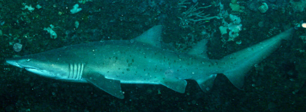 f5cbfc91-3903-457e-b421-c4a3c3d859b7