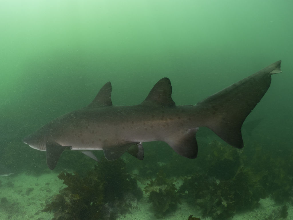 93251ab1-9047-4c1a-b0dc-4003203bbd5e