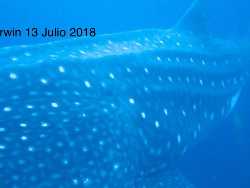 1e565d1f-f186-4eb4-ae8e-c8ebbf226d0c